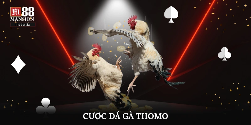 Cược đá gà Thomo