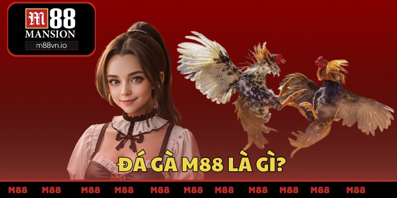 Đá gà M88 là gì?