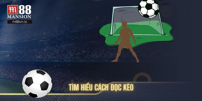 Tìm hiểu cách đọc từng tỷ lệ được lựa chọn nhiều hiện nay